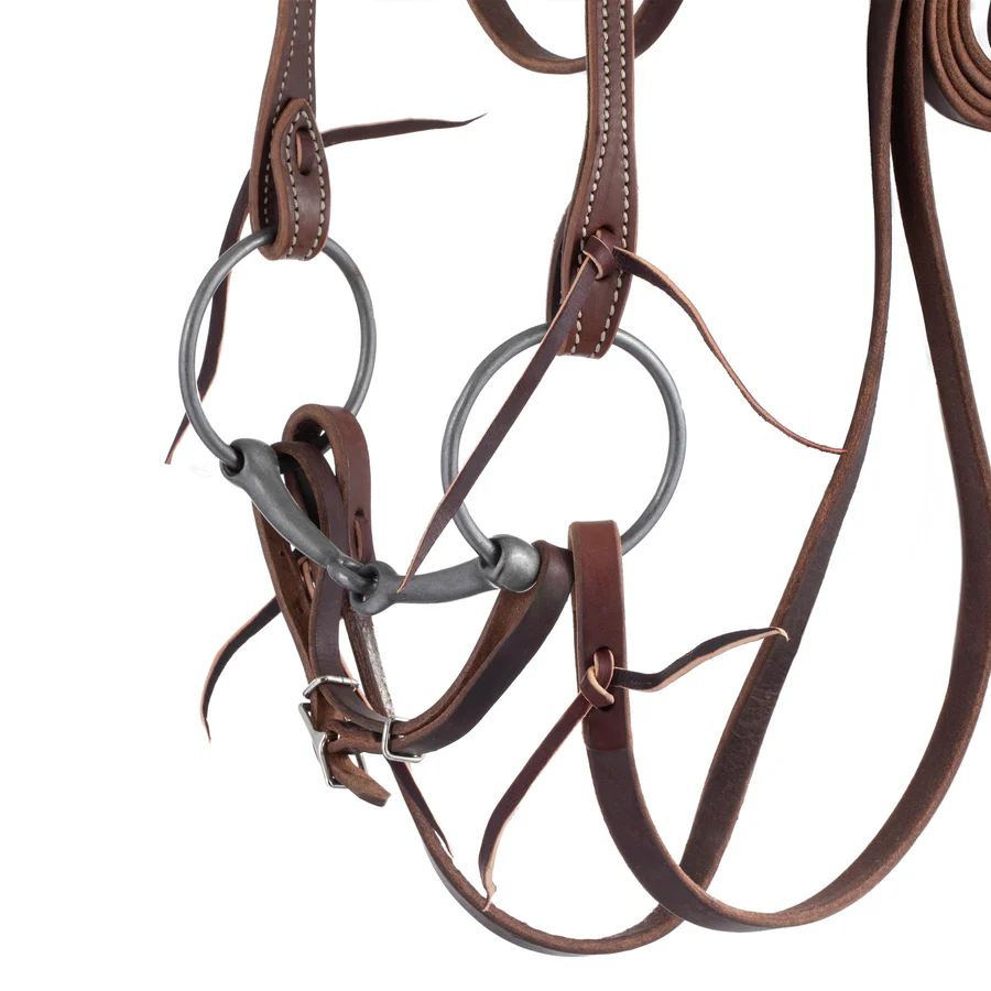 Browband Bridle with Double Cheek Buckles, Chicago Screw-HT039 - Image 2