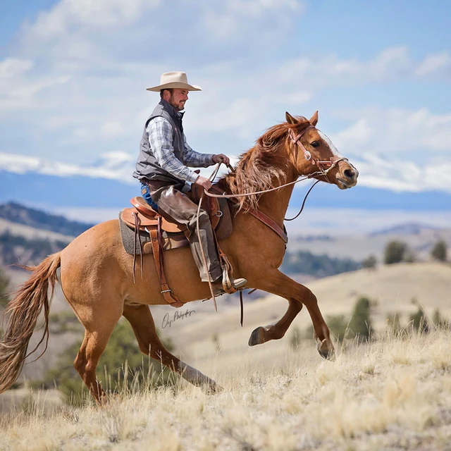 Justin Dunn Bitless Bridle-HT033 - Image 7