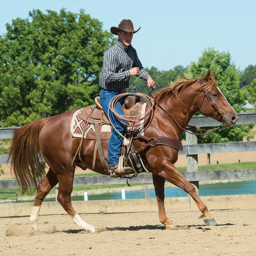 Working Tack Bridle-HT034 - Image 2