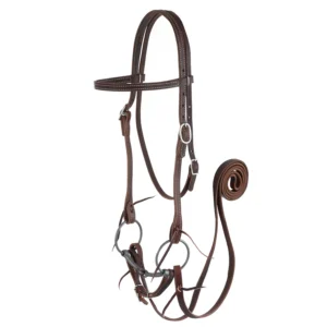 Browband Bridle with Double Cheek Buckles, Chicago Screw-HT039