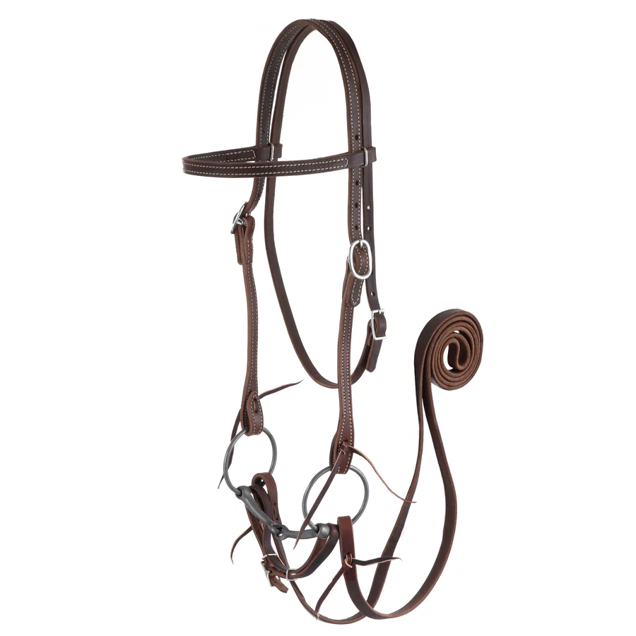 Browband Bridle with Double Cheek Buckles, Chicago Screw-HT039
