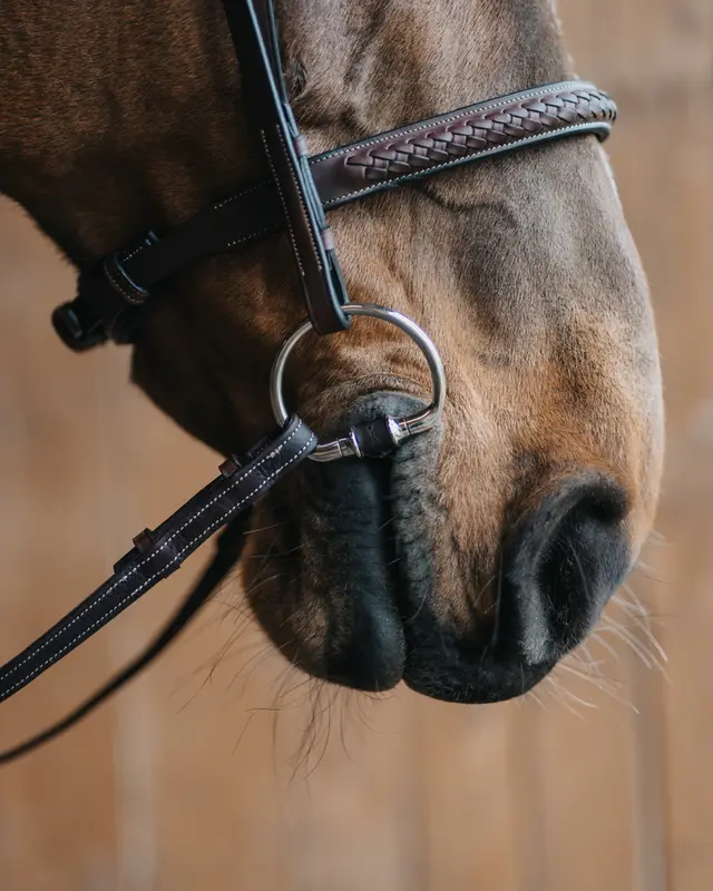 Adam Leather bit Fixed rings-HT020 - Image 5