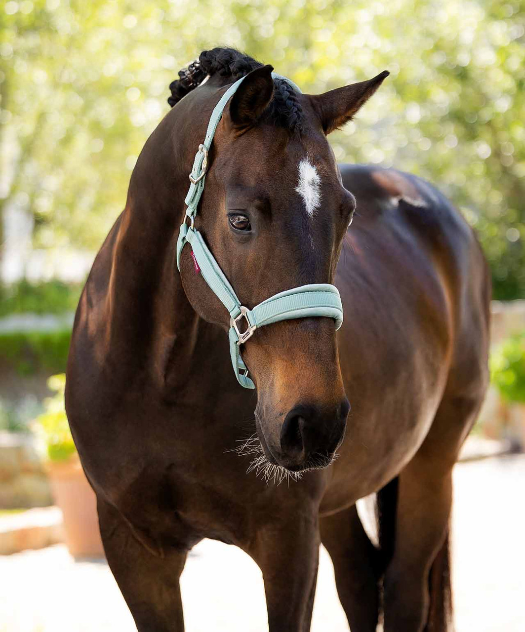 LeMieux Versailles Halter-HT028 - Image 3