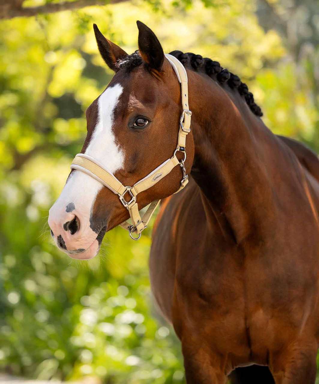 LeMieux Versailles Halter-HT028 - Image 5