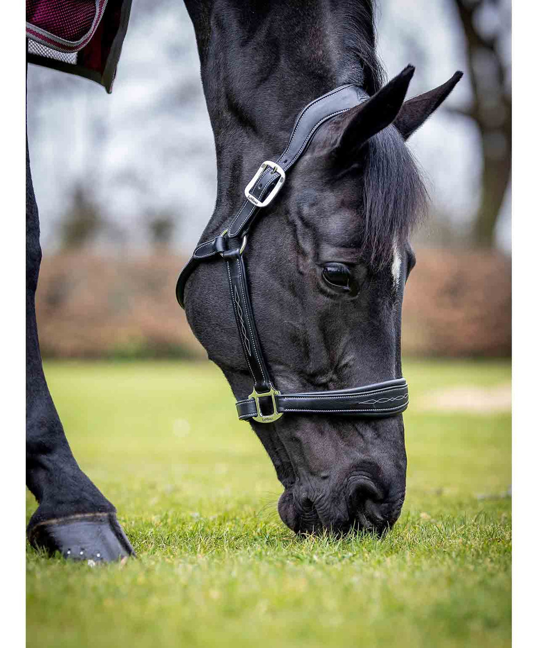 LeMieux Stitched Leather Halter-HT032 - Image 3