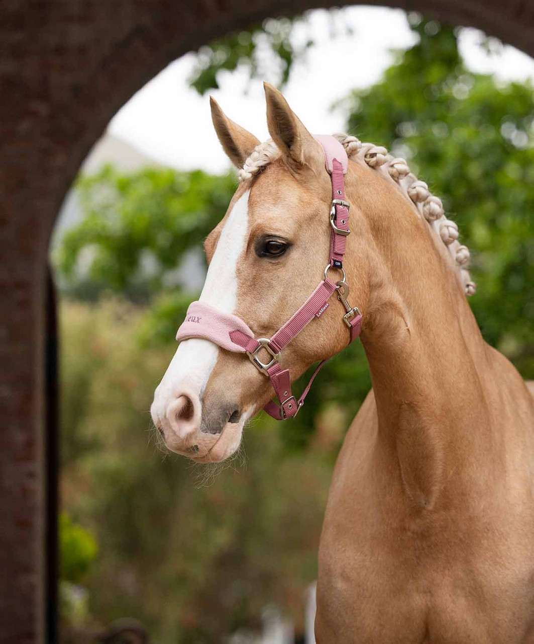 LeMieux Vogue Halter & Lead-HT027 - Image 3