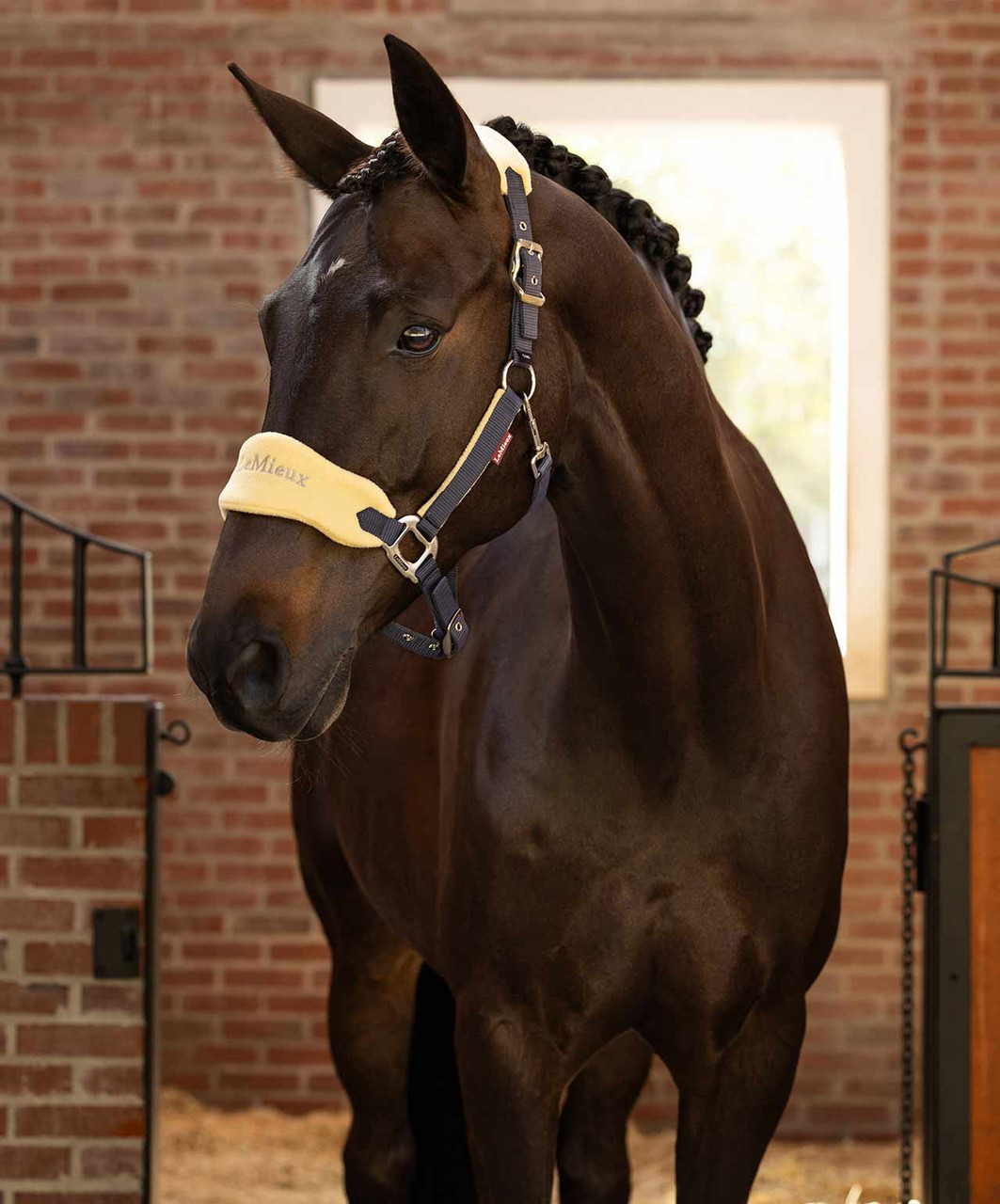 LeMieux Vogue Halter & Lead-HT027 - Image 4