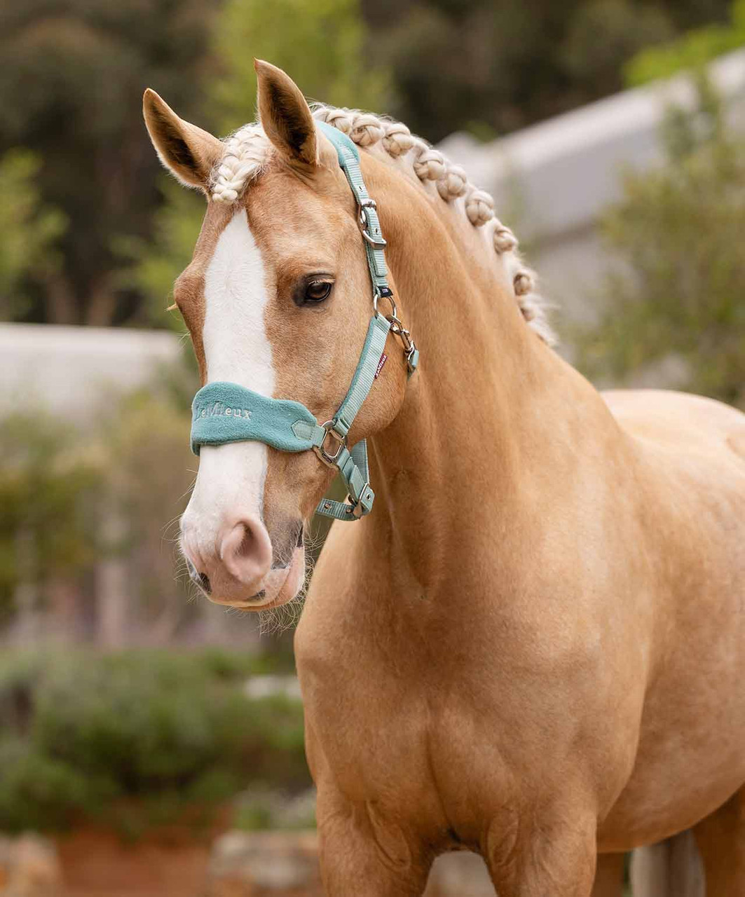 LeMieux Vogue Halter & Lead-HT027 - Image 5