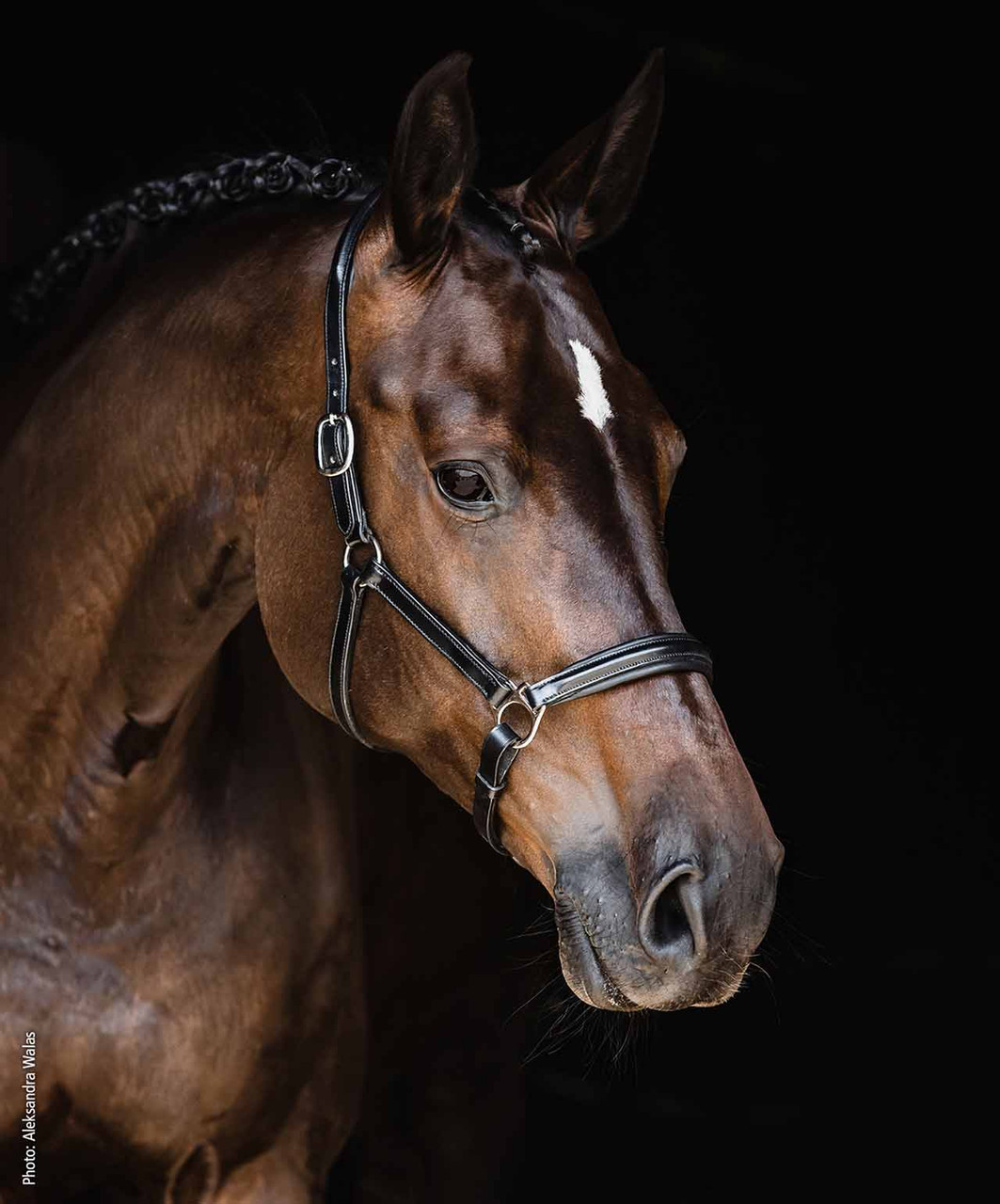 Schockemohle Sports SP Ulm Pro Leather Halter-HT033 - Image 3