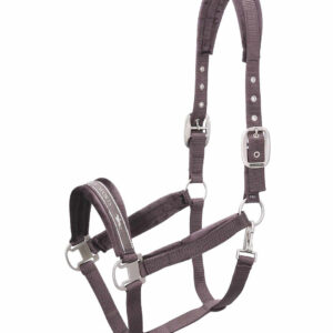 Schockemohle Sports Soft Velvet Halter FW25-HT029