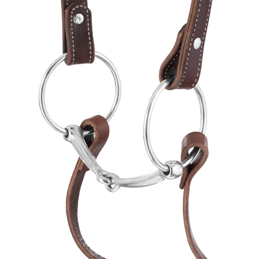 Draft Horse Riding Bridle, Average-HT036 - Image 3