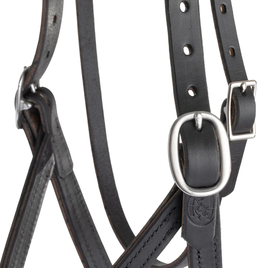 Draft Horse Riding Bridle, Average-HT036 - Image 4